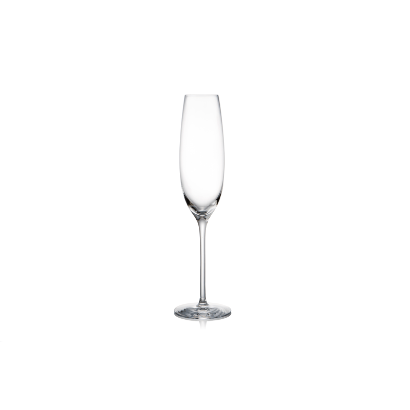 Rogaska Expert Champagne Flute (Set of 2)