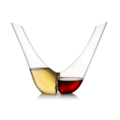 Rogaska Expert Duo Decanter