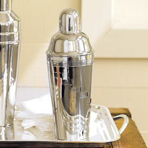 Twist and Shake Stainless Steel Recipe Shaker