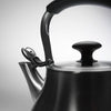 OXO Good Grips Brushed Stainless Steel Tea Kettle