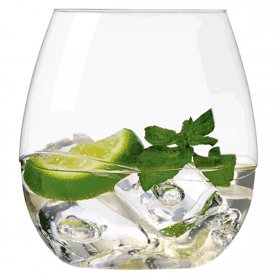 Takeya Swirl Plastic Wine & Cocktail Tumblers (Set of 2)