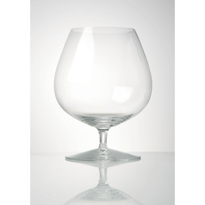 Rogaska Expert Cognac Glasses (Set of 2)