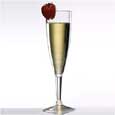 Forever Polycarbonate Champagne Flutes Glasses (Set of 4)