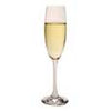 Stoelzle Oberglas Champagne Glasses (Set of 6)