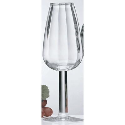 Contours Acrylic Champagne Flutes Glasses (Set of 4)